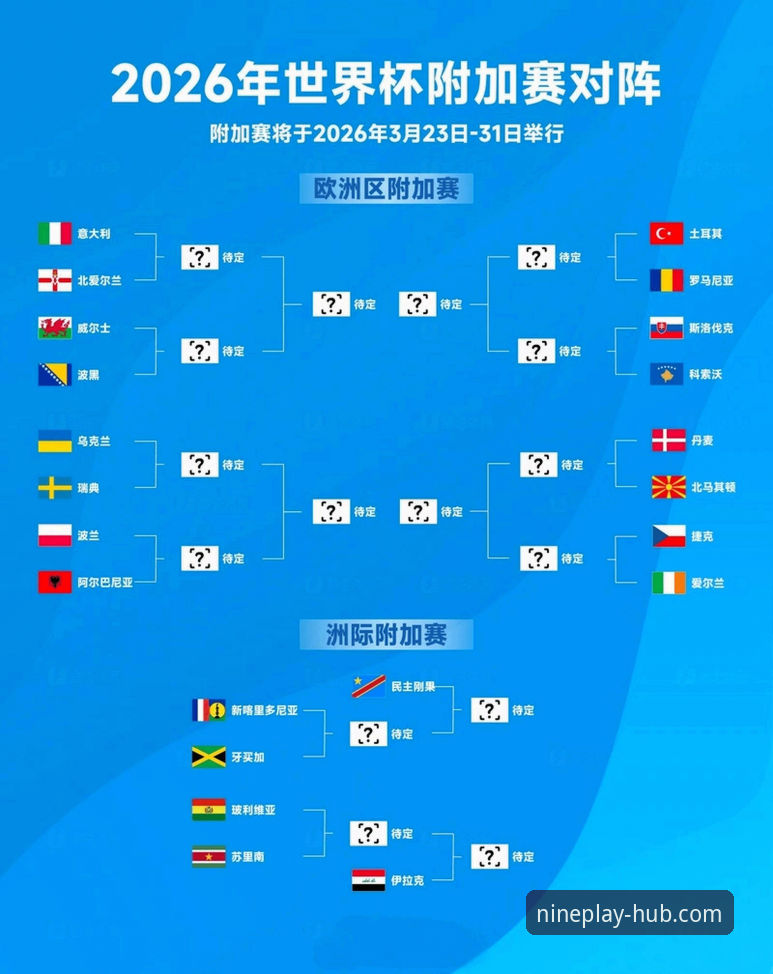 九游游戏中心官网 帕尼切利重伤无缘世界杯:一次战术缺失与球迷观赛体验的深度分析